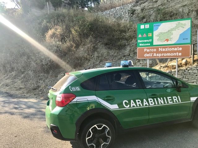 Sorpreso ad appiccare un incendio nel Parco d’Aspromonte, arrestato 54enne