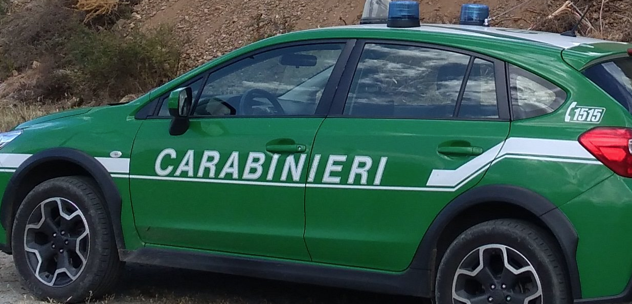 Auto in fiamme intrappola due ragazzi in un casolare nel Reggino: salvati dai carabinieri
