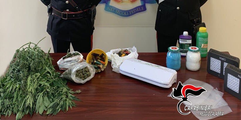 Produzione e spaccio nella Locride, arrestato un 25enne. Carabinieri attirati dal forte odore di marijuana
