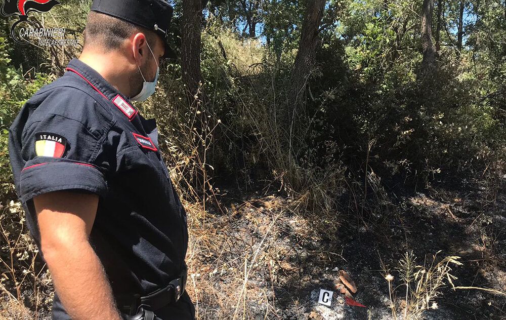 Pascolo abusivo su terreni bruciati a Terravecchia, denunciato anche il sindaco