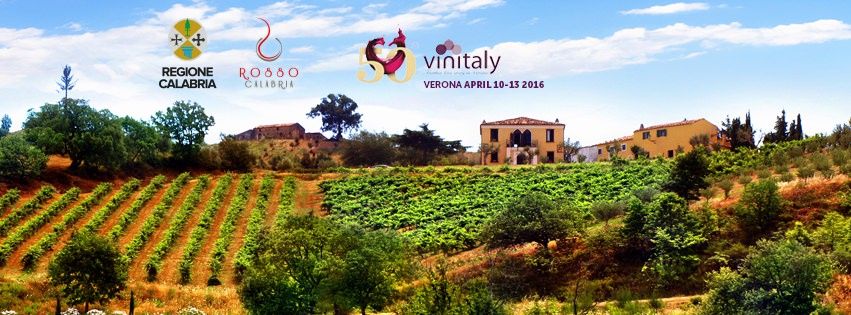 Vinitaly, gara al rialzo e appalto "siciliano"