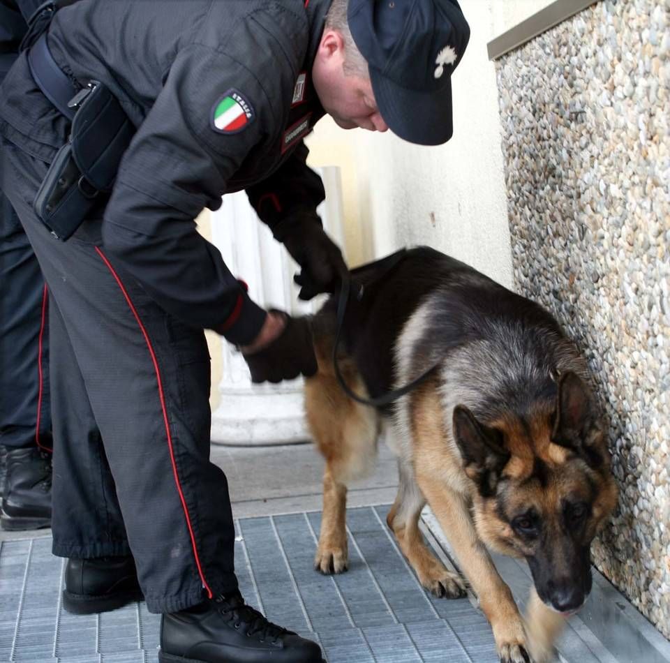 Munizioni nascoste al cimitero, decisivo il fiuto di un cane