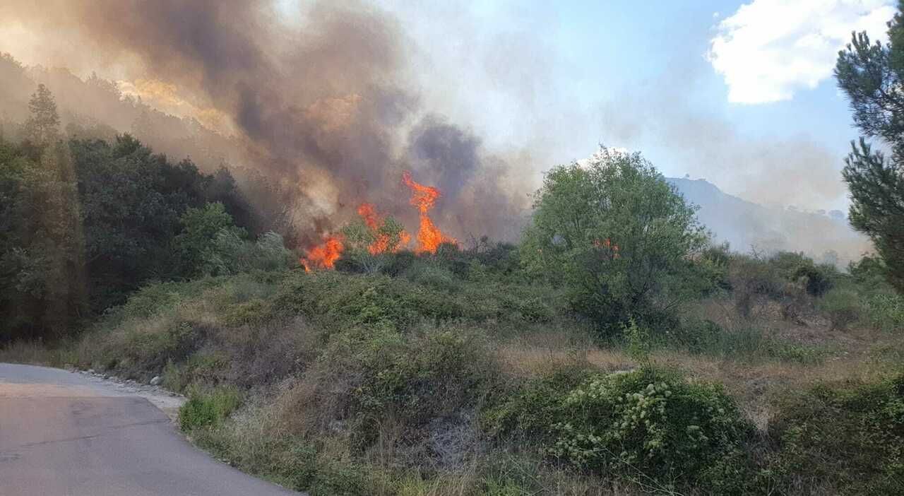 Sorpreso mentre sta appiccando un incendio ad un terreno a Reggio, fermato un piromane