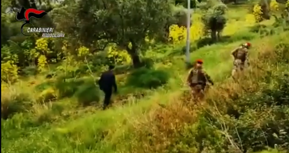 Ciminà, trovate armi e materiale esplosivo occultati nelle campagne – VIDEO