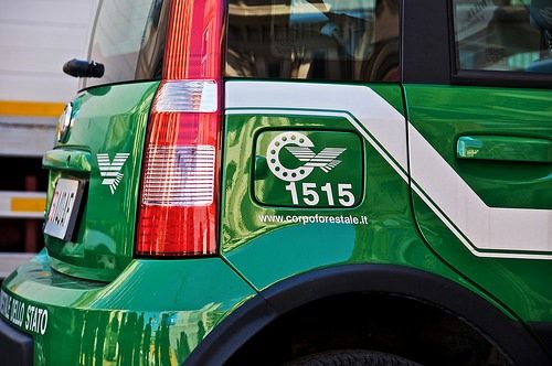 Occupa una villa e la trasforma in ricovero per cani e gatti, denunciata