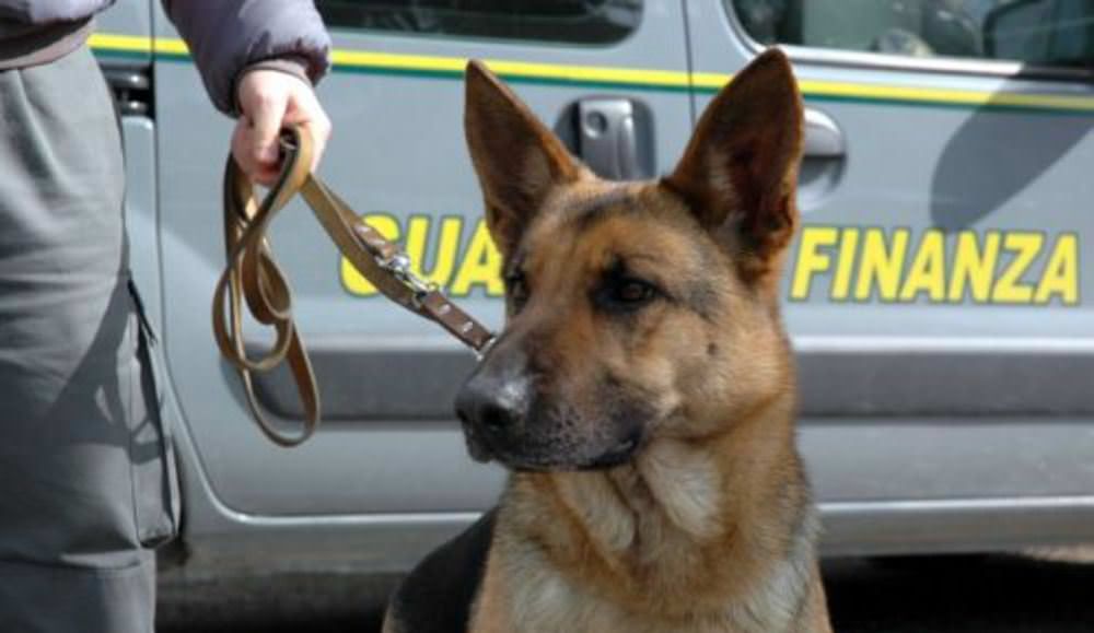 Trovati con oltre 5 chili di marijuana, due arresti a Reggio