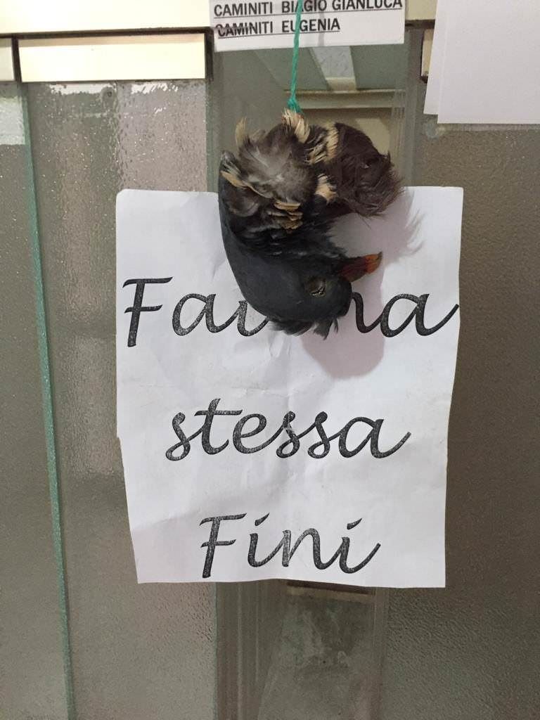 Intimidazione a testimone di giustizia a Reggio Calabria