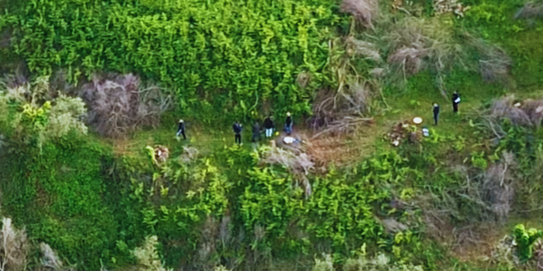 Giallo a Limbadi, trovati i resti di uno scheletro