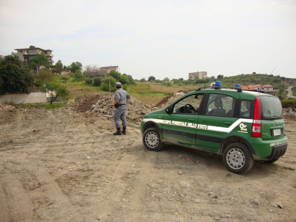 Arrestata una donna per incendio boschivo