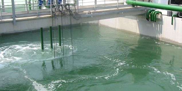 “Maladepurazione”: sabato il sit-in per il mare del Golfo