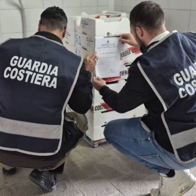 Trasporto illecito di novellame di sarda: maxi sequestro della Capitaneria lungo la Ss 106