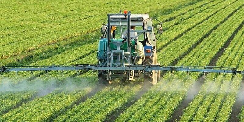 Clima, Calabria in vetta per agricoltura biologica e rinnovabili