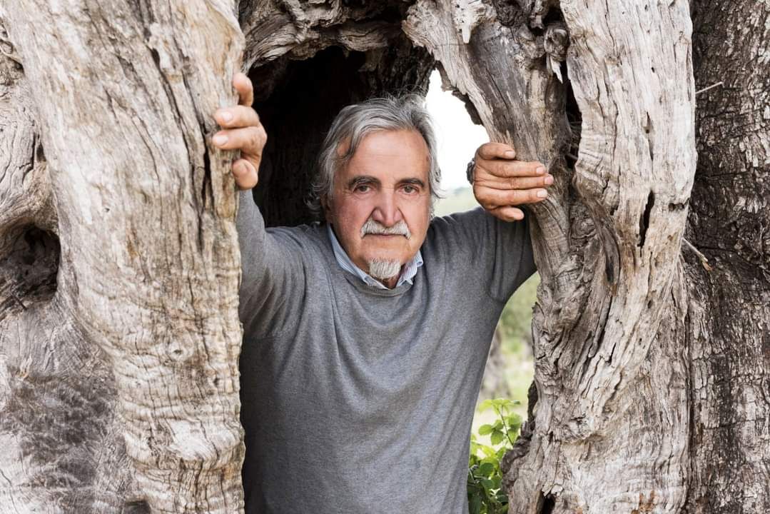 Ceraudo eletto accademico nazionale dell’olivo e dell’olio di Spoleto