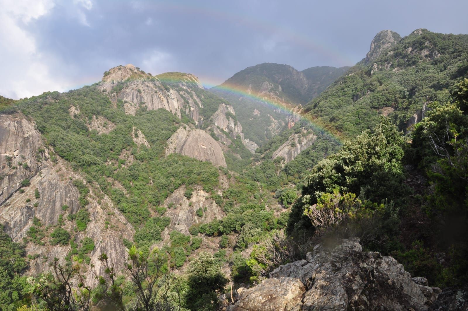 Viaggio in Calabria: Ramage come Lévi Strauss
