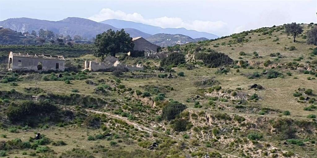 Ardore, dal santuario di Polsi il progetto per creare un uliveto nel bene confiscato alla ‘ndrangheta