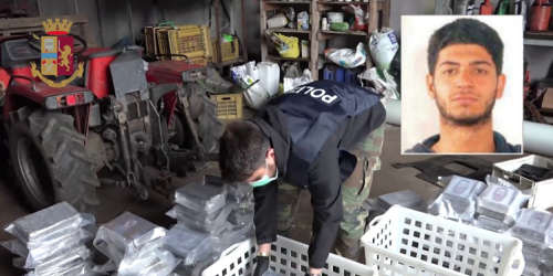 rocco molè 'ndrangheta