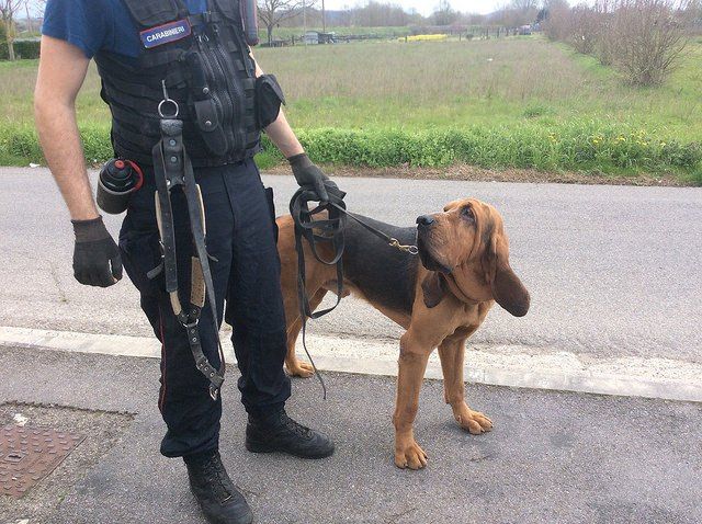 Torna a casa il 67enne scomparso nel Cosentino