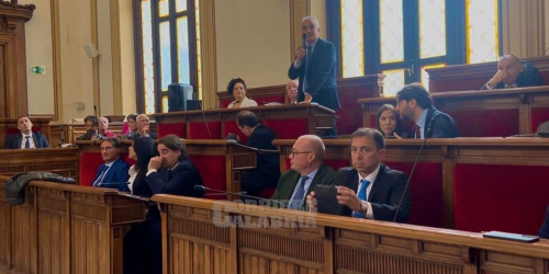 consiglio comunale reggio