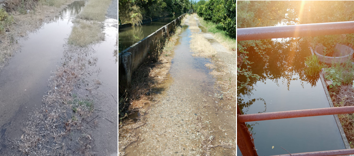 Tracima la condotta irrigua del Consorzio, allagamenti a Rossano: danni ad abitazioni e colture