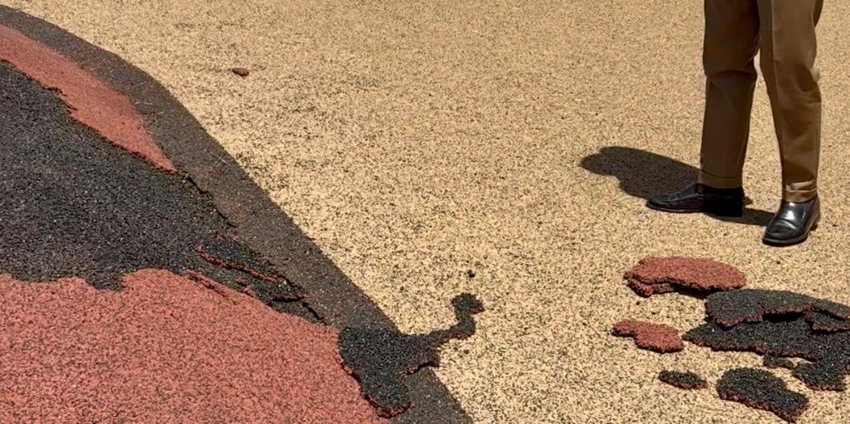 Cosenza, nuovo atto vandalico al Parco del Benessere