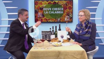 Il vino in Calabria secondo i sommelier: identità, promozione e l’abbinamento con il cibo – VIDEO