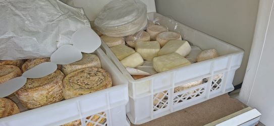 Sequestrati dalla Polizia Stradale 55 kg di prodotti caseari non tracciabili