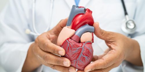 malattie cardiovascolari cuore