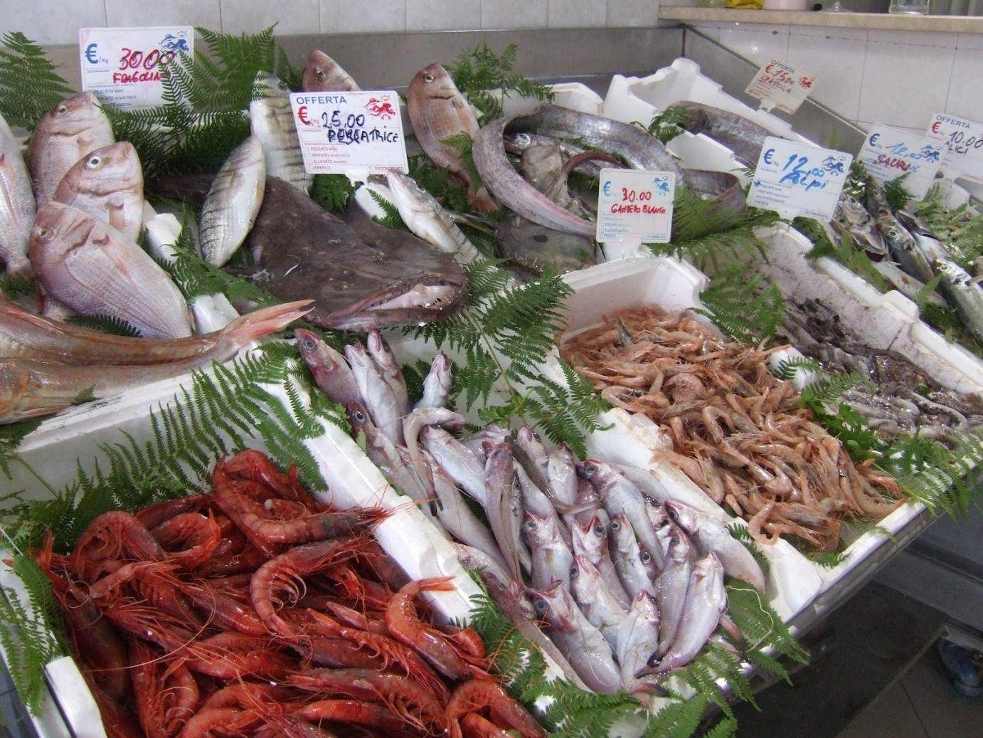 FRONTIERA | La gestione del mercato ittico raccontata dai pentiti