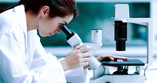 Fondi ricerca e sviluppo, 85 domande da Sud e Calabria