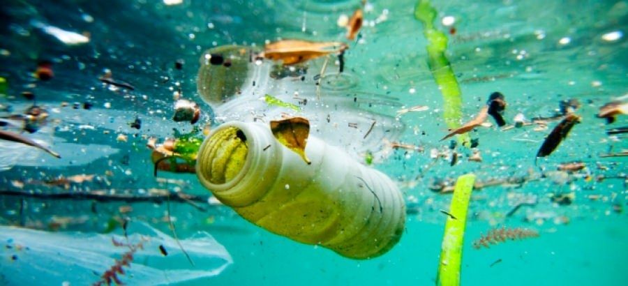 Pianopoli, il progetto di Med Sea Litter per recuperare i rifiuti marini (e non solo)
