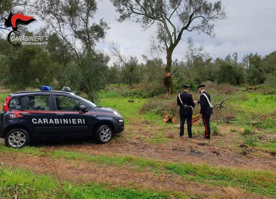 Cibi e artifici illegali sequestrati a Taurianova, 4 persone denunciate