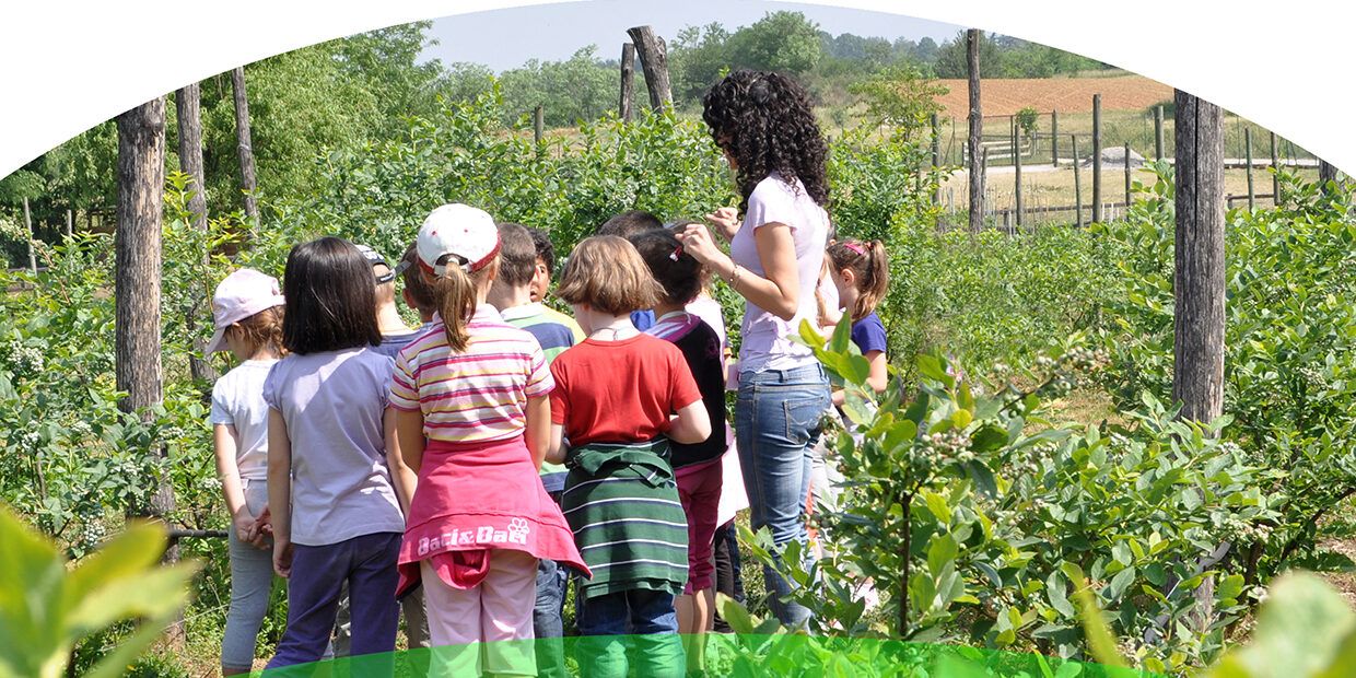 Concluso il seminario di “Agricoltura è Calabria” sulle fattorie didattiche