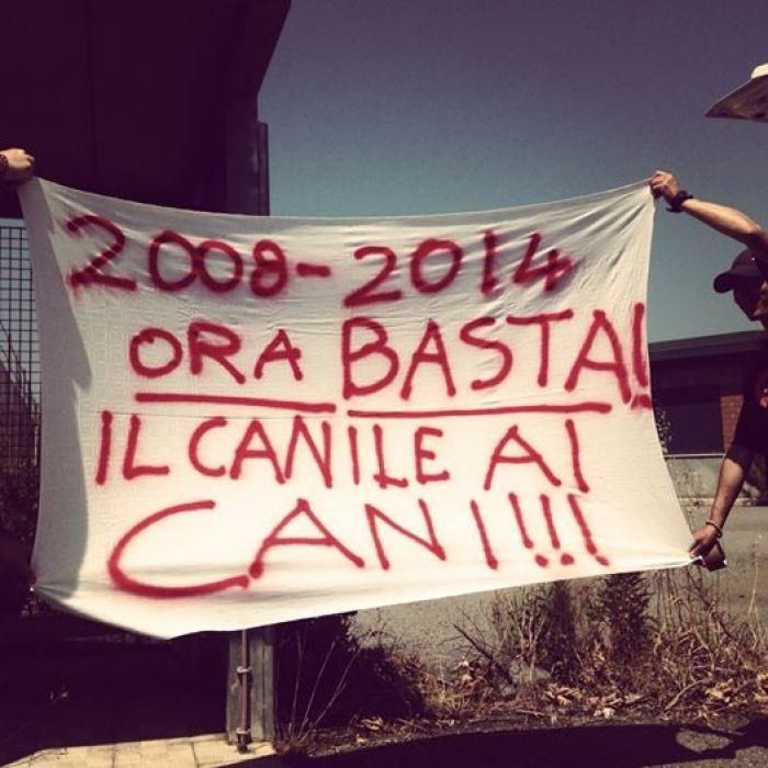 Canile di Pellaro, l'occupazione continua