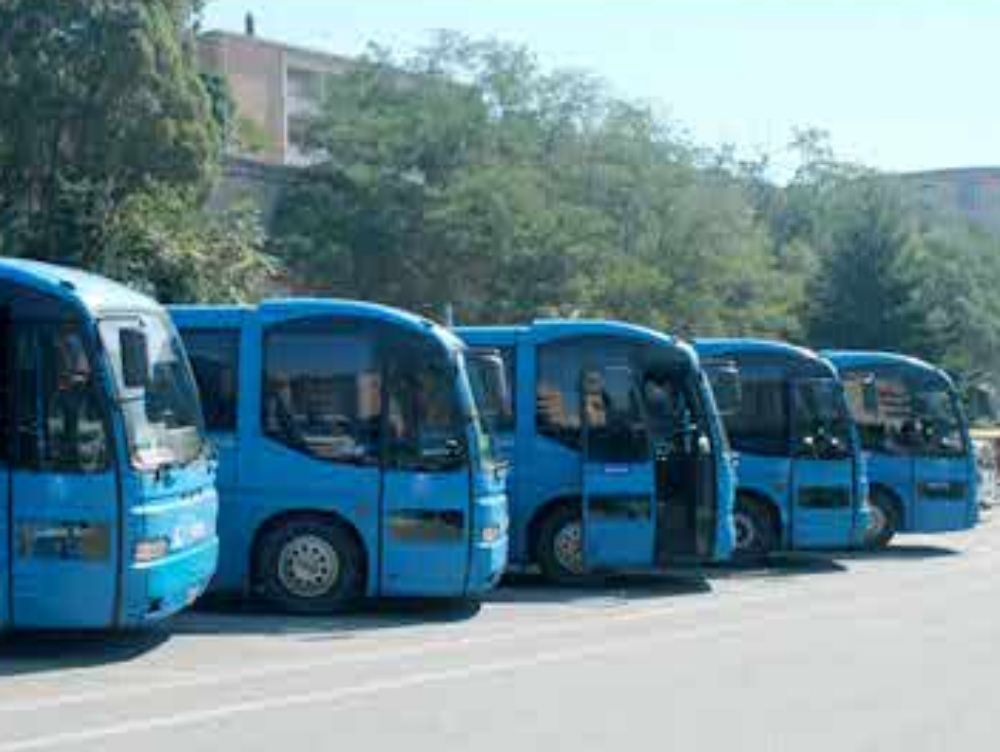 Ferrovie della Calabria, al referendum larga vittoria del sì