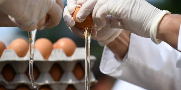 Uova contaminate, sequestro in Calabria