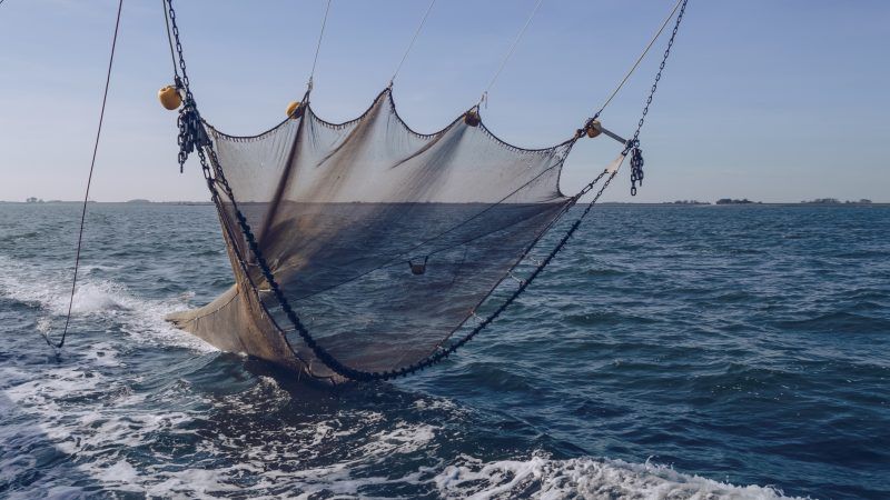 Pesca a strascico, a Vibo mobilitazione contro il piano dell’Ue. «Avrà delle ricadute pesanti»