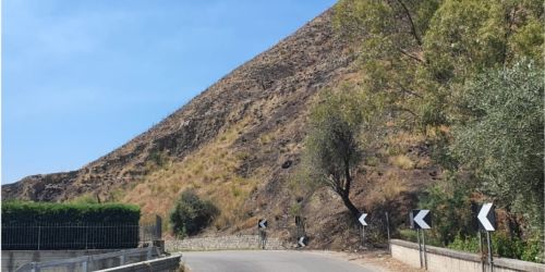 terreni confiscati incendiati a melito (3)