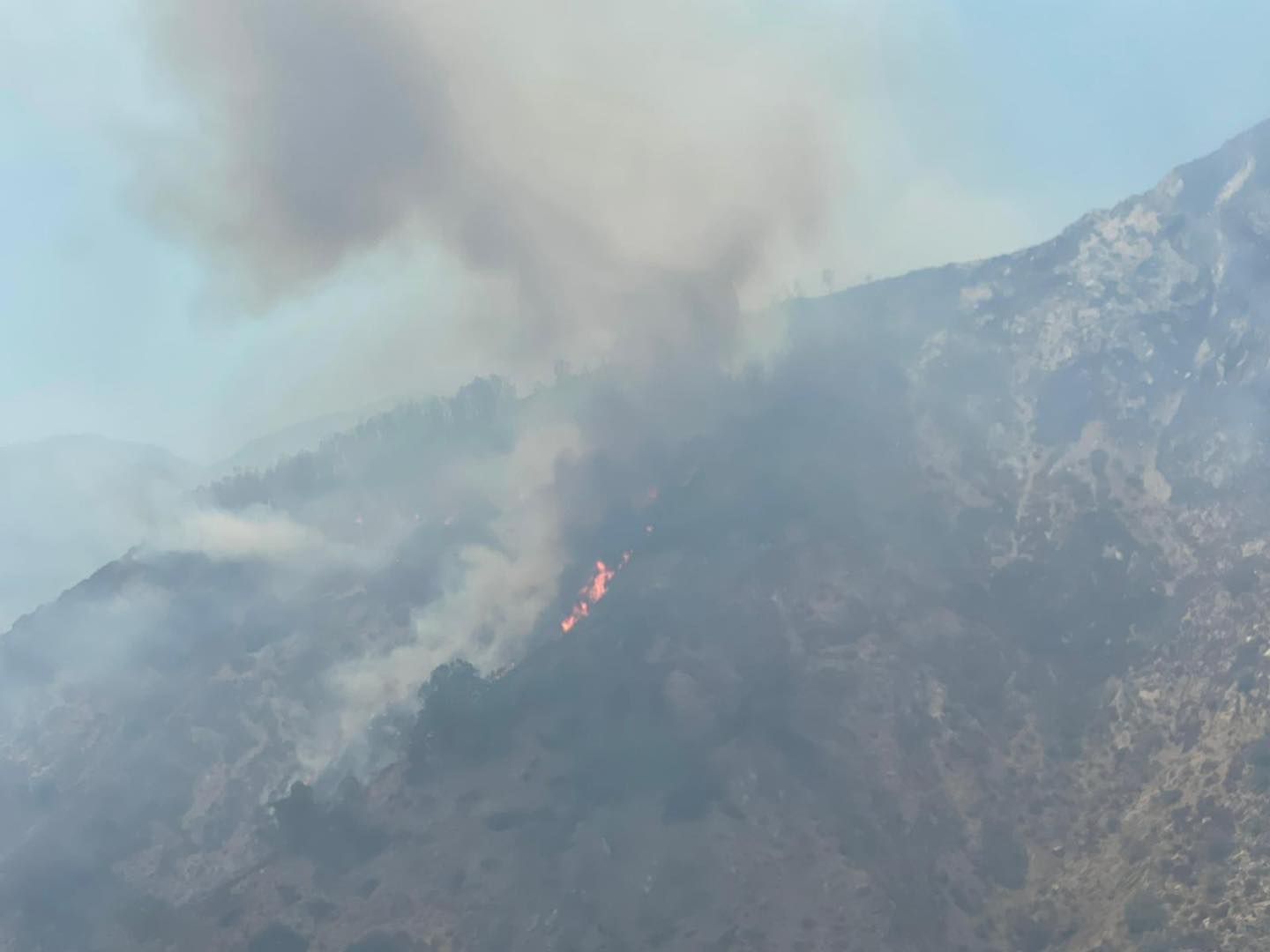 Aspromonte in fiamme, le Faggete Vetuste (per ora) sono salve. «Ma senza aiuti non ce la faremo»