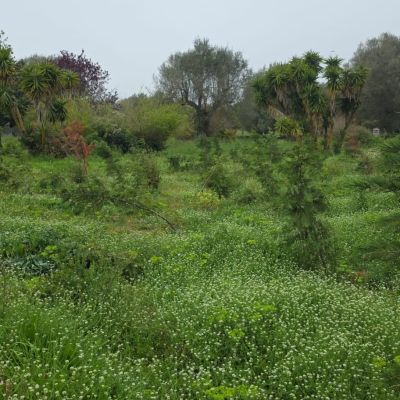 Vibo, Mangialavori attacca l’amministrazione Romeo: «Parco urbano in condizioni indecenti, vergogna»