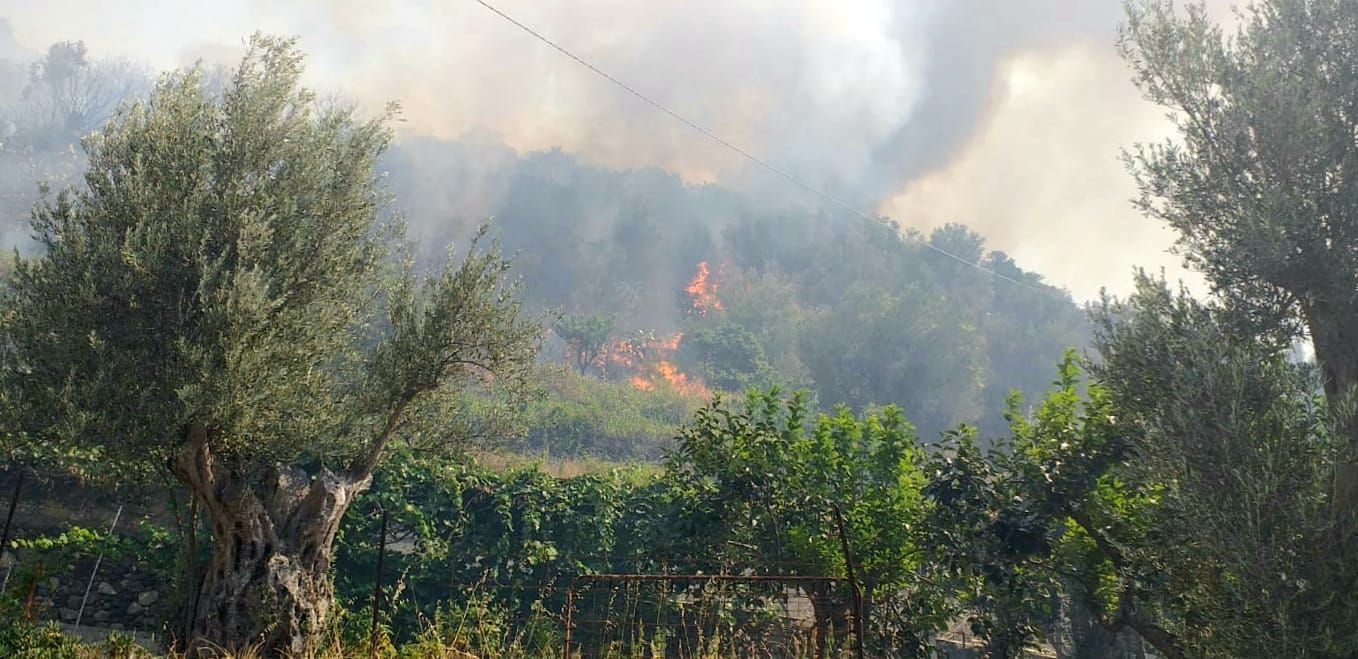 Incendio a Reggio, in azione “task force” guidata da Calabria Verde