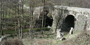 L’urgenza di preservare il Ponte della Cona