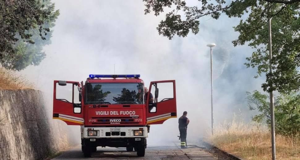 Incendi in Calabria, soccorsi in arrivo da Piemonte e Veneto