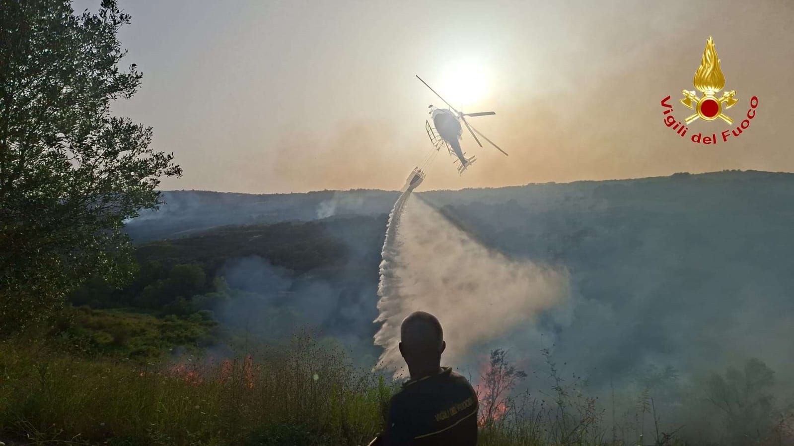 Emergenza incendi nel Vibonese: circa 30 interventi dei vigili del fuoco nelle ultime 12 ore