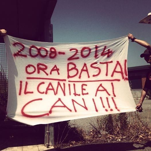 Canile di Mortara, Falcomatà: non si comprende l'ostinazione dei commissari