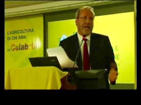 «Incendi e siccità. La Calabria verso la catastrofe»