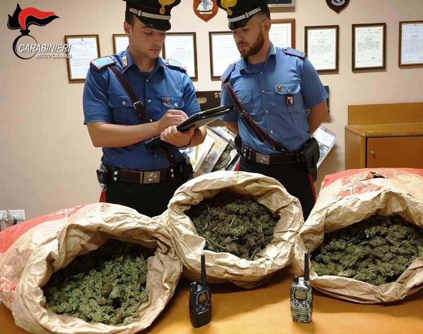 Trovati con 9 chili di marijuana, tre arresti a San Luca