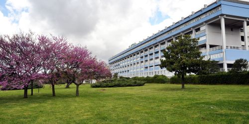 ospedale-lamezia-terme