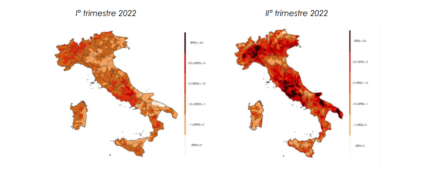 Fondo AgriCat, ecco il rapporto Ismea sulla sperimentazione del 2022