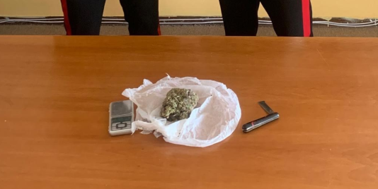 Droga nascosta nel bagno: arresto un uomo nel Catanzarese