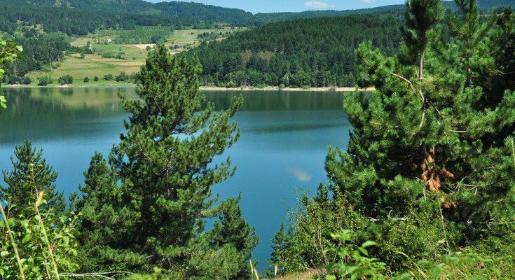 La Calabria diventerà un cantiere “verde”